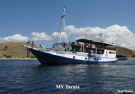 tarata-indonezja1